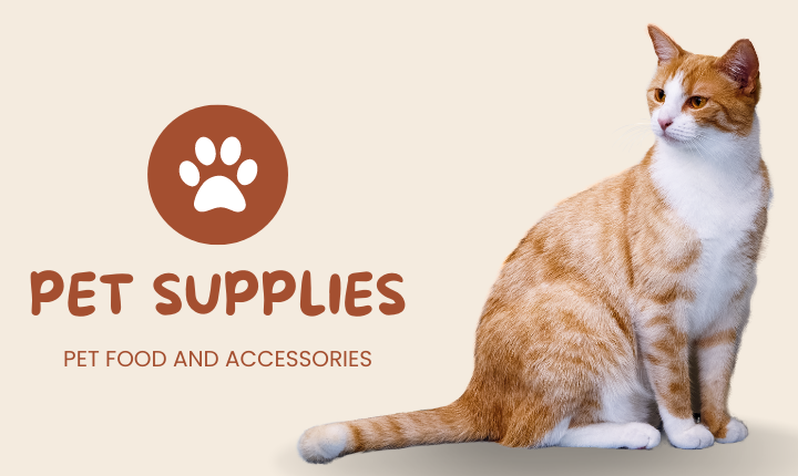 Comprehensive Guide to Pet Accessories